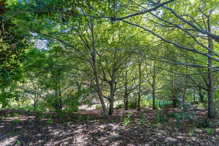 70 Dawson Road Snells Beach_11