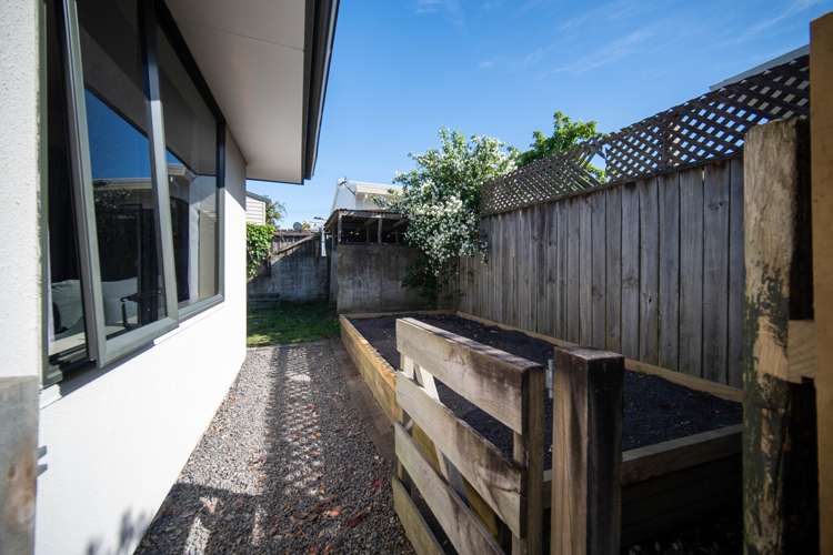 20a Palm Avenue Stoke_12