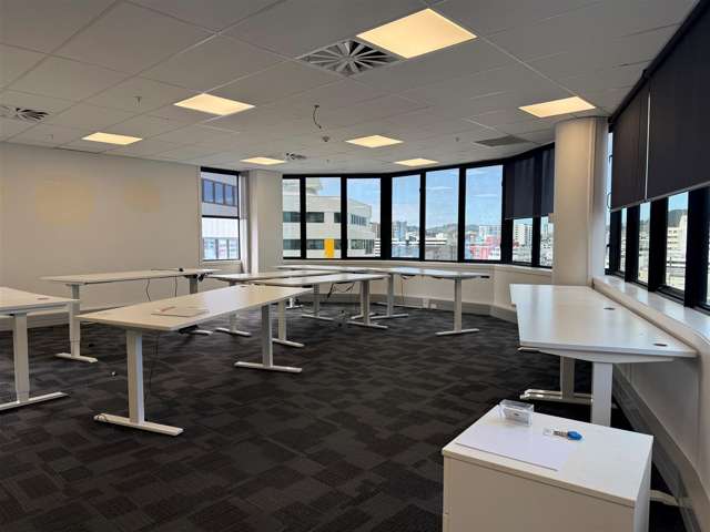 Level 9, Rear, 5 Willeston Street Wellington Central_4