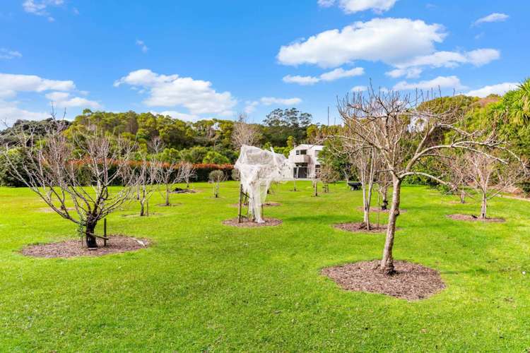 79C Jack Boyd Drive Mangawhai Heads_22