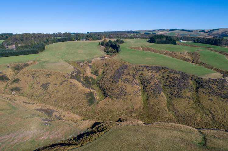 220 Mackay Road West Otago Surrounds_23