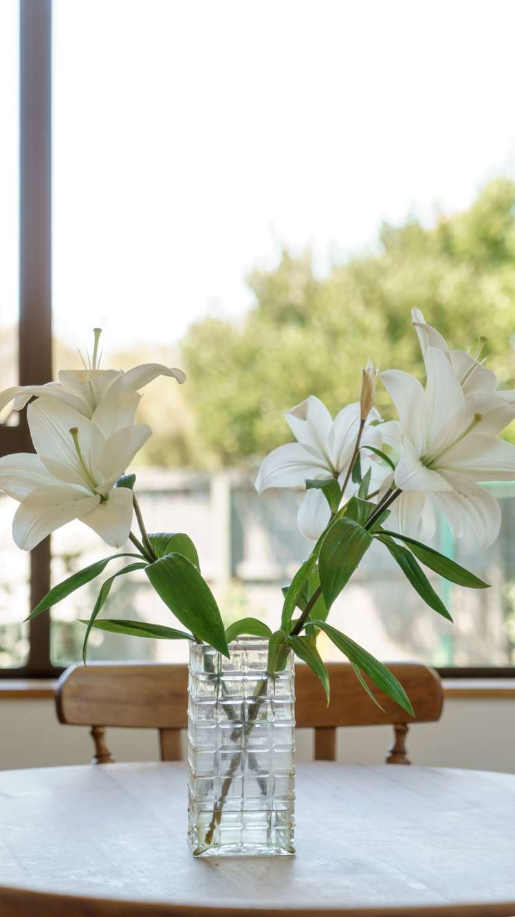 27 Millstream Drive Lincoln_15