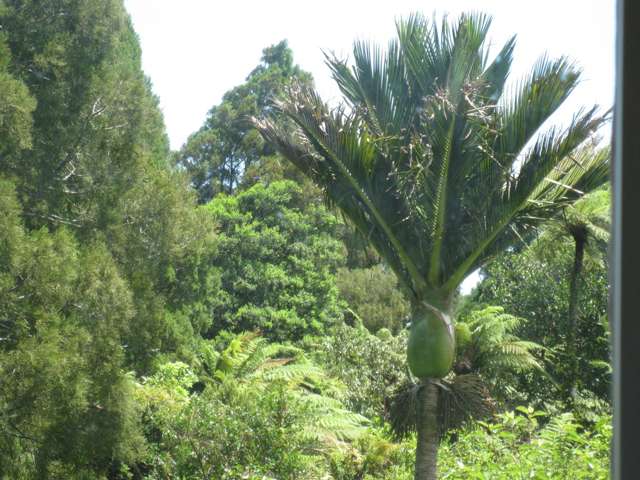 36 Horncastle Crescent Kahurangi National Park_2