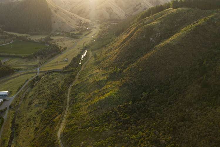 793 Taylor Pass Road Taylor Pass_27