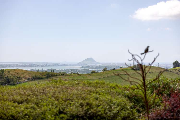 345 Waitaha Road South Welcome Bay_9