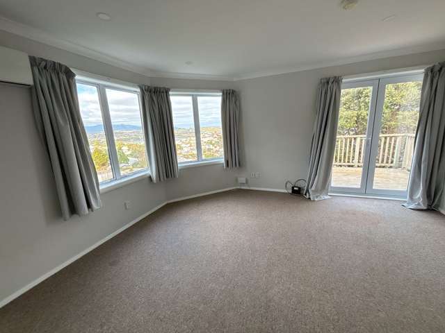 111A Rakau Road Hataitai_3