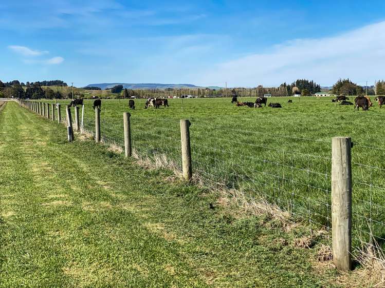 1128 Wyndham Road Wyndham_24