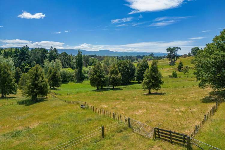 227 Tipapakuku Road Dannevirke_33