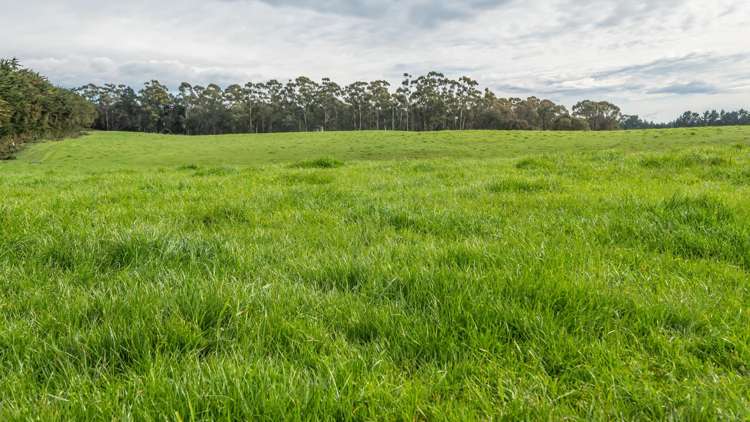 1241 Blythe Road Domett_29