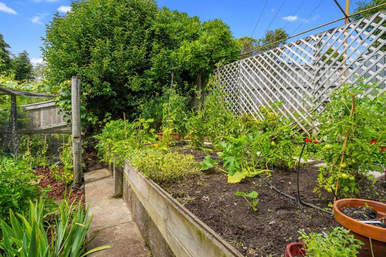 8 Thompson Terrace Toi Toi_19