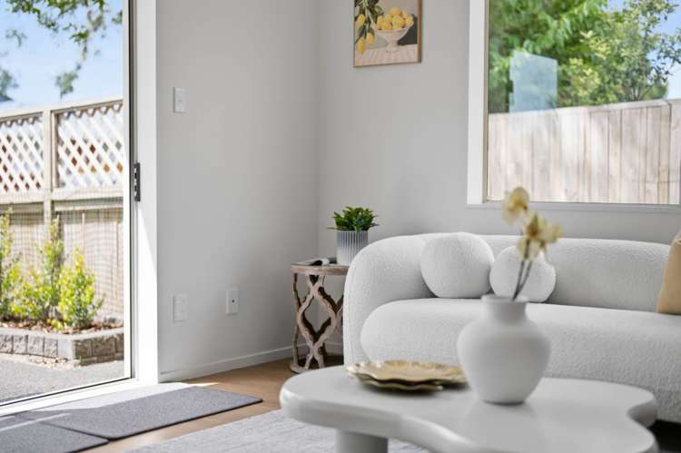 239 Campbell Road Greenlane_17