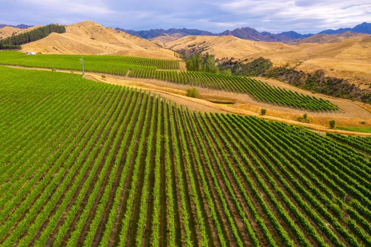 220 Ballochdale Road Awatere Valley_5