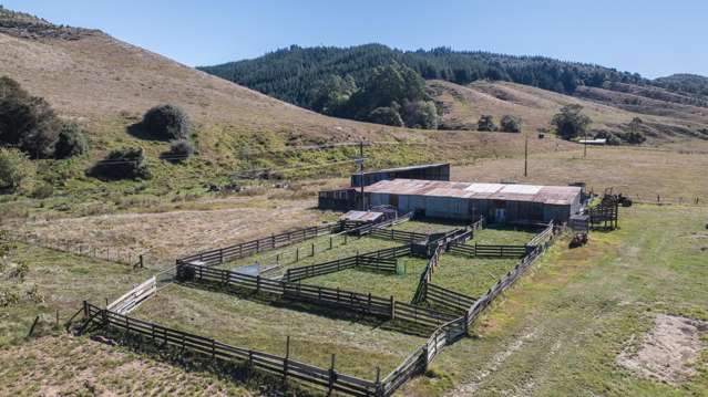 335 Pretty Bridge Valley Road Belgrove_3