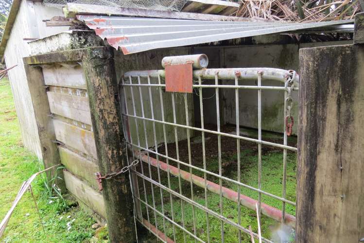 494 Waitekauri Road Waikino_7