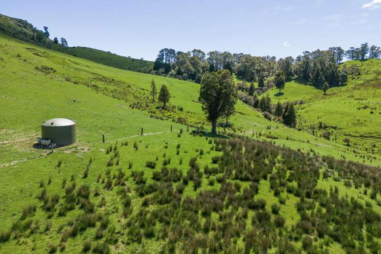 21 Carson Road Ongaonga_14