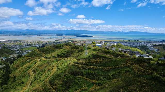 184 Panorama Drive Nelson_3