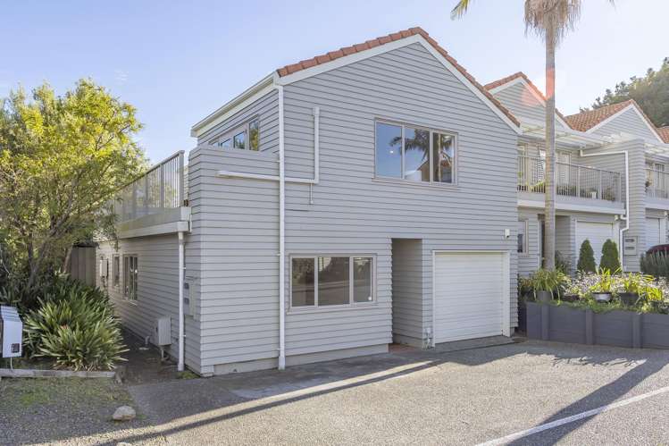 24A Mount Smart Road_1