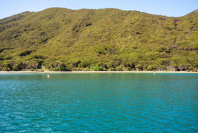 Lot 4 + 5 Te Aroha Bay, Otanerau Bay Marlborough Sounds_74