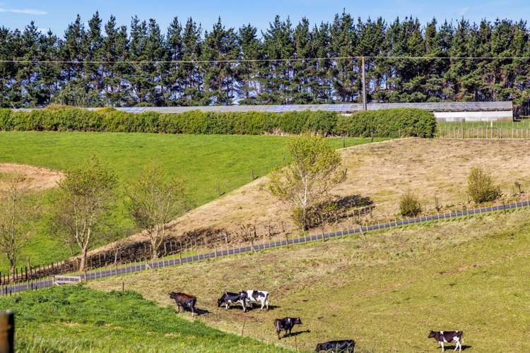 5674 Mountain Road Hawera_59