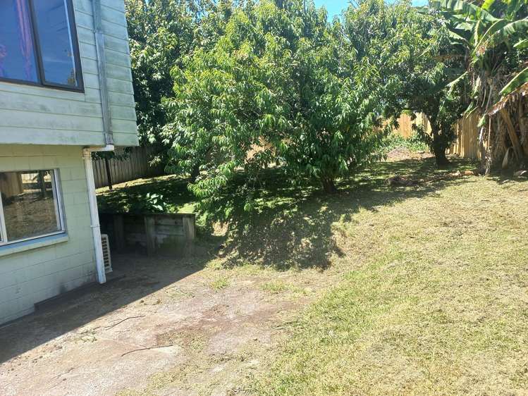 337 Roscommon Road Clendon Park_9