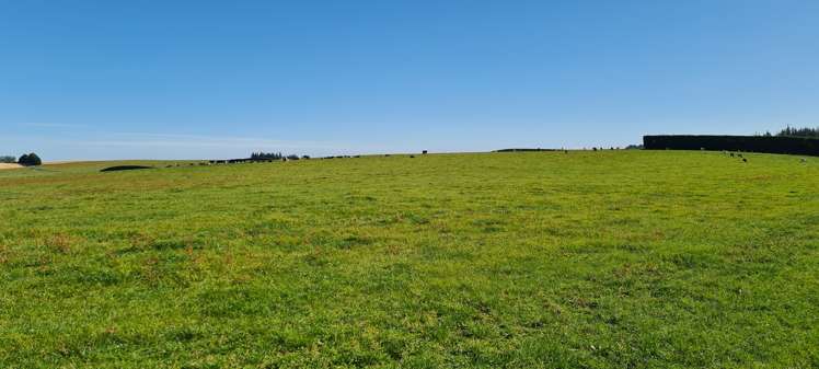 357 Middle Road Gore Surrounds_7