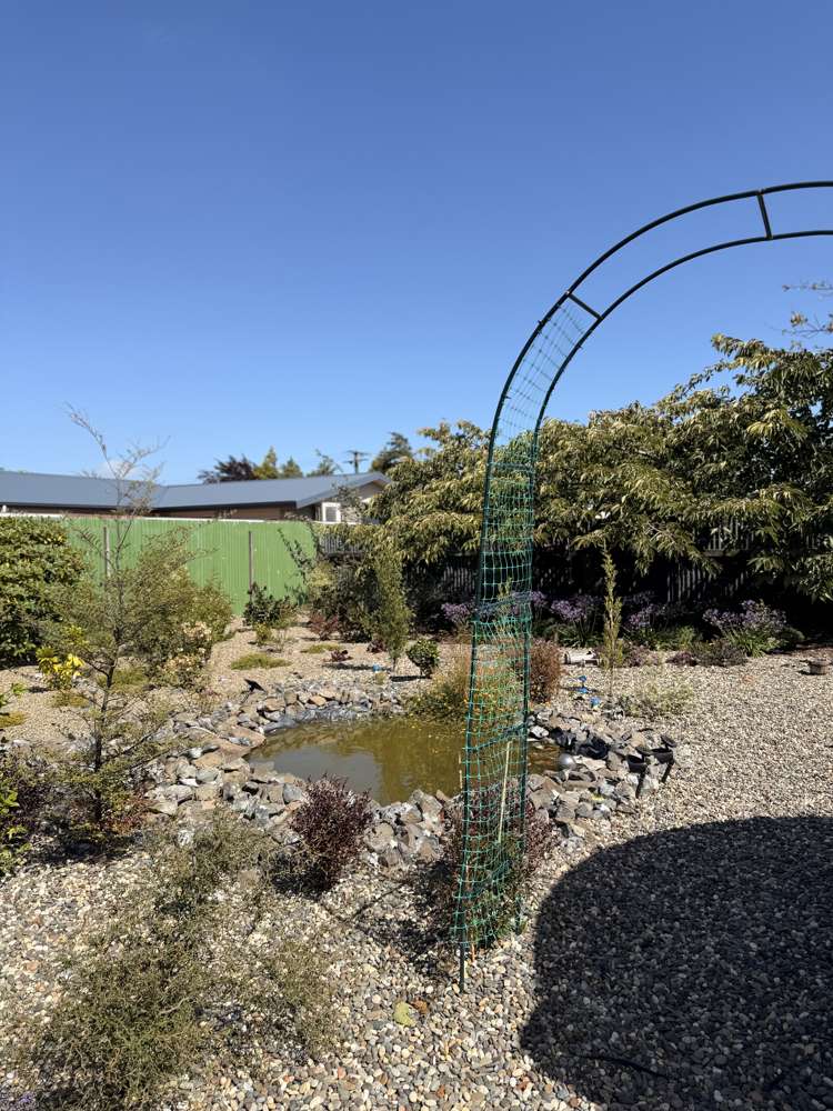 25 Cumnock Street Wallacetown_24