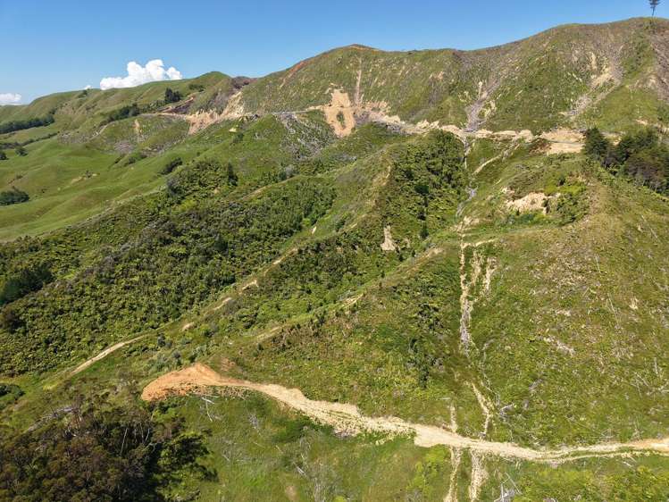 Lot 2 Brown Road Kawhia_5