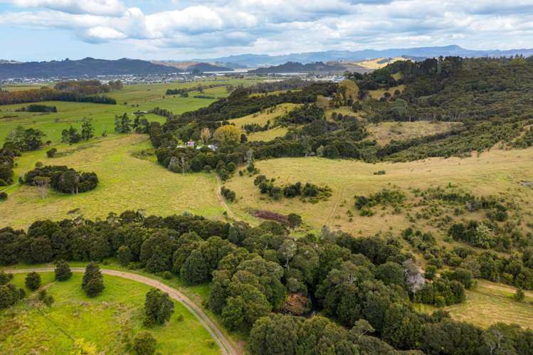 168 Moewai Road Whitianga_30