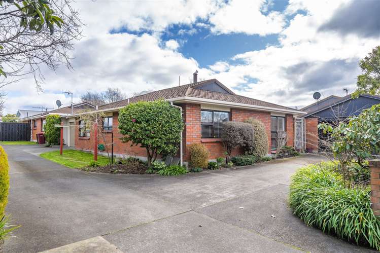 1a Jordan Terrace Masterton_19