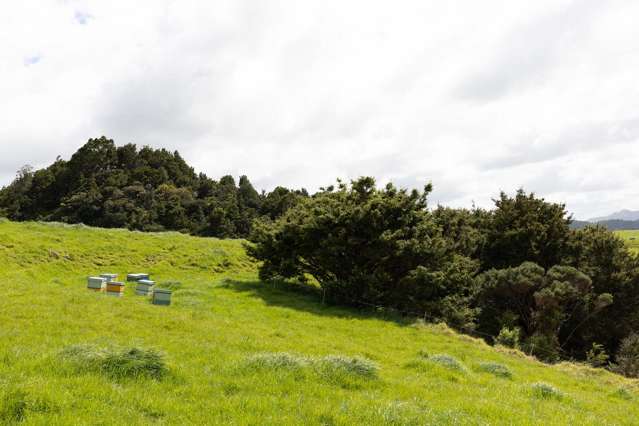 1557 Waihue Road Dargaville Surrounds_2