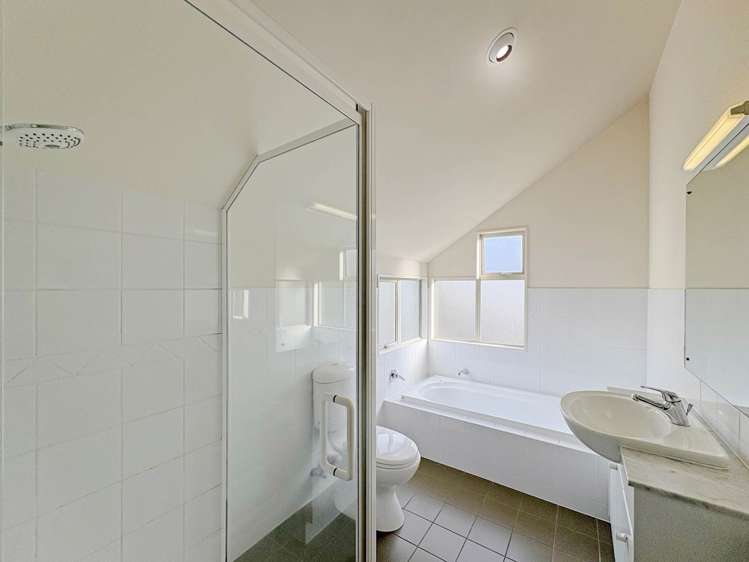 Manukau Road Epsom_12