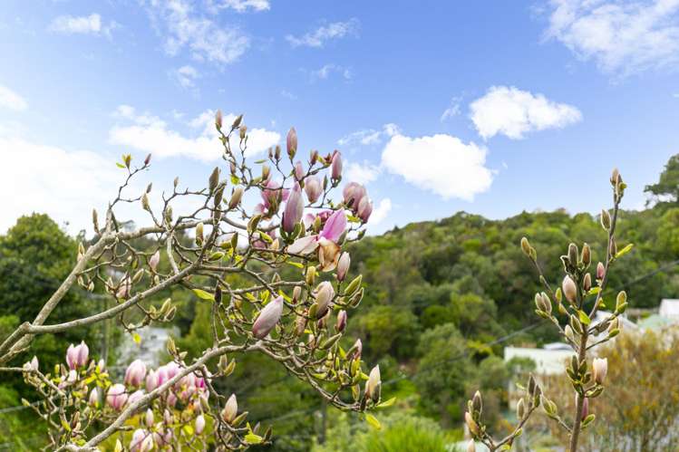 7 Mortimer Terrace Aro Valley_24
