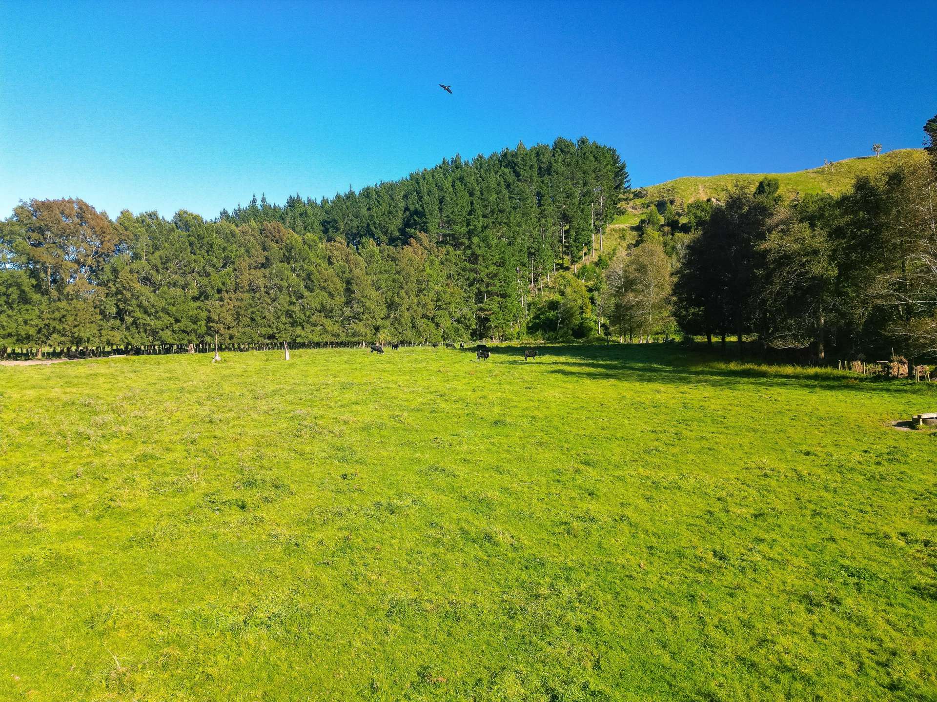 Lot 1, Longacre Road Okoia_0