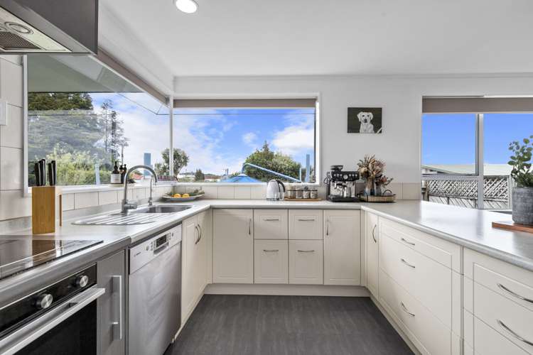 65 Moorhouse Street Morrinsville_5