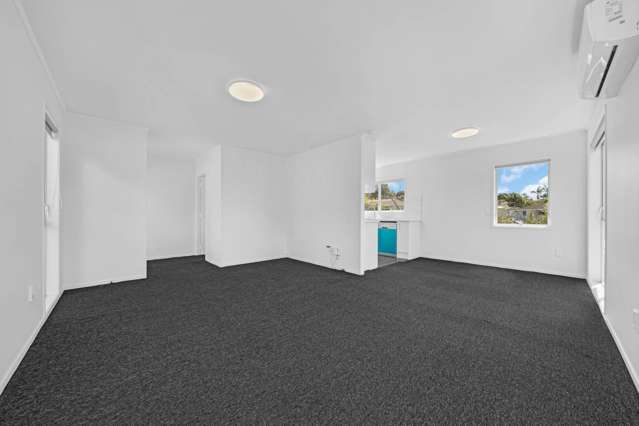 31 Leo Street Glen Eden_3