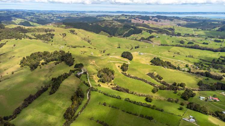 608b West Coast Road Makarau_39