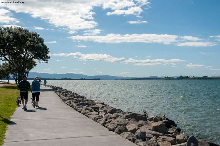 28 Woods Avenue Matua_15