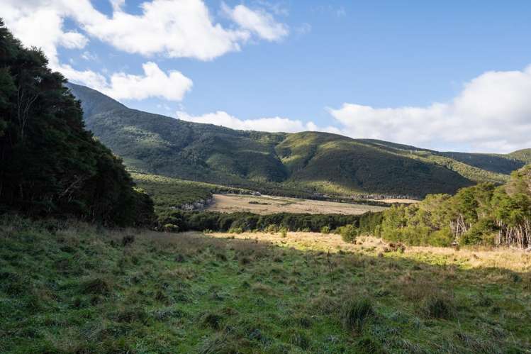 4710 Kenepuru Road Marlborough Sounds_49