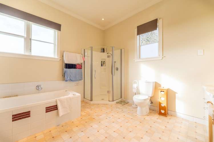 65 Springfield Road Totara_8