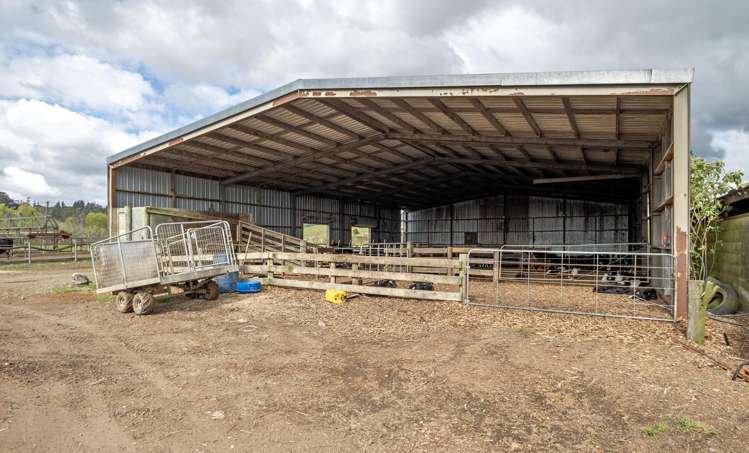 Brooklyn Farm, 126 McGinley Road Opotiki_9