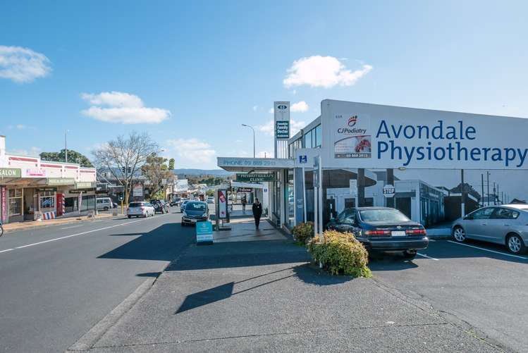 11d Highbury Street Avondale_17