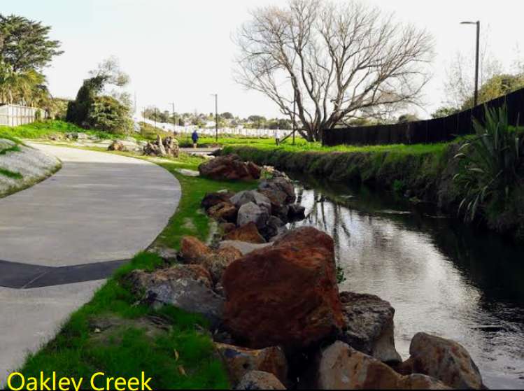 3/189 Hendon Avenue Mount Albert_28