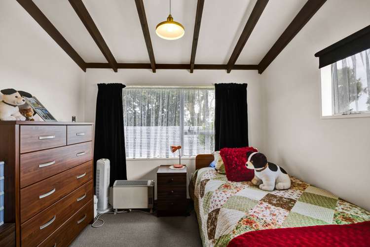 7 Von Tempsky Street Normanby_11