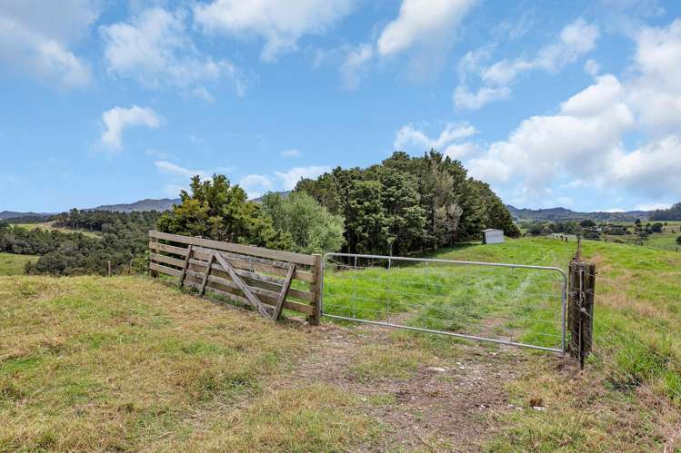 Pipiwai Road Purua_29