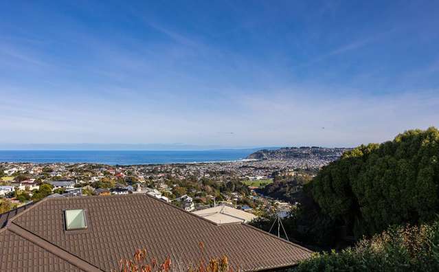 42 Mckerrow Street Shiel Hill_1