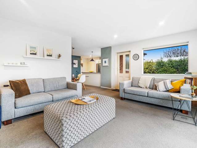 20a Robinson Street Rakaia_1