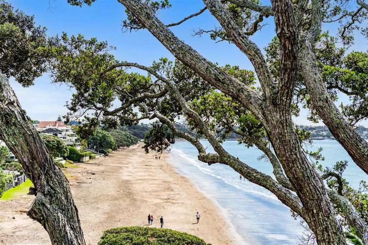 43 Clifton Road Hauraki_23