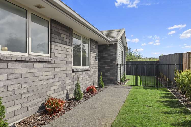 102 Sentinel Avenue Omokoroa_11