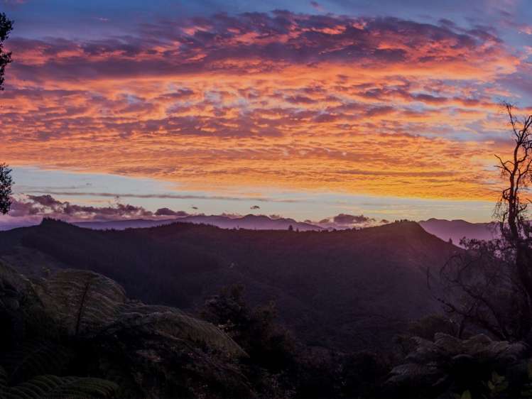 345 Bird Road Kahurangi National Park_16