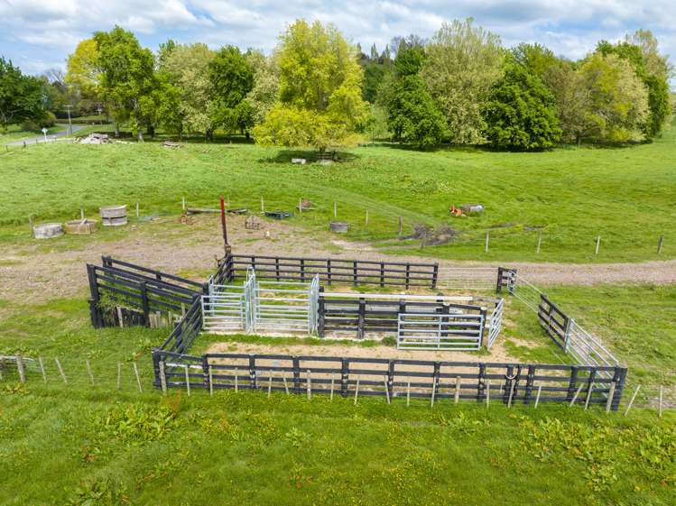 228 Pond Road Matamata_8